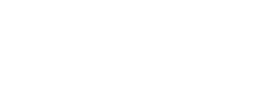 instapay Logo transparent 1